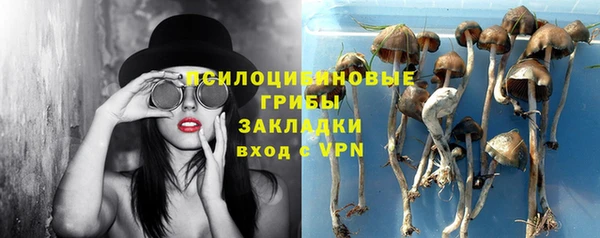 дживик Алексеевка