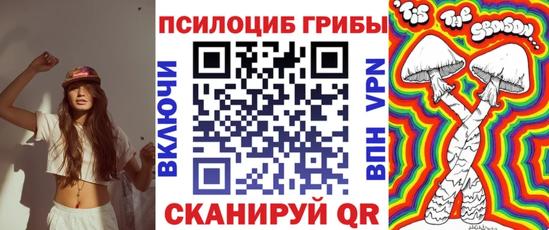 как найти закладки  гидра ССЫЛКА  Псилоцибиновые грибы Psilocybine cubensis  Армянск 